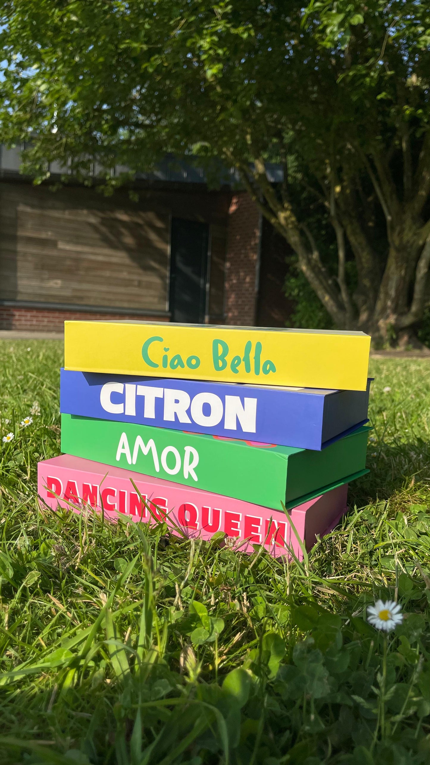 Boîte Dancing Queen Cerises