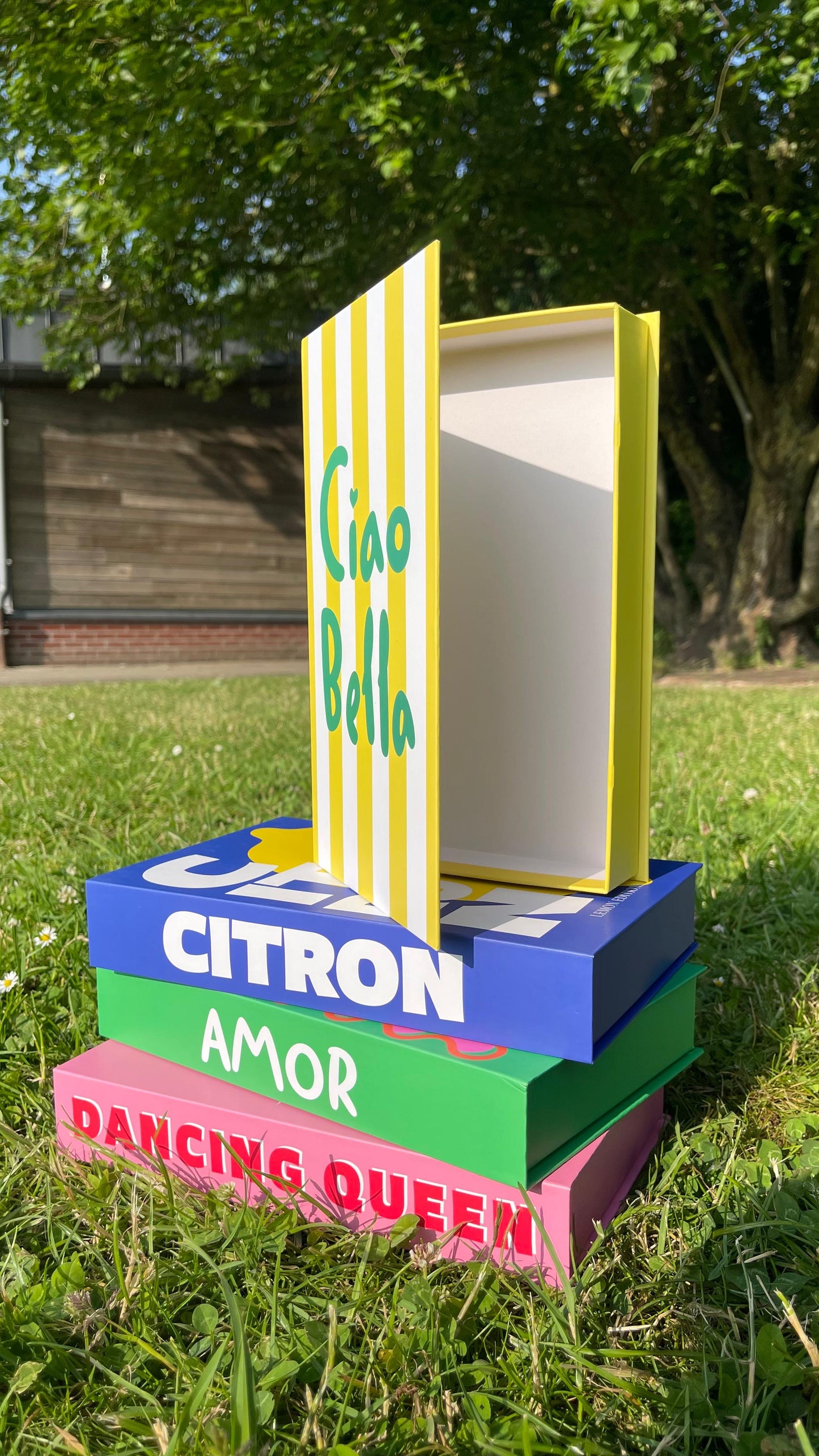 Boîte Dancing Queen Cerises