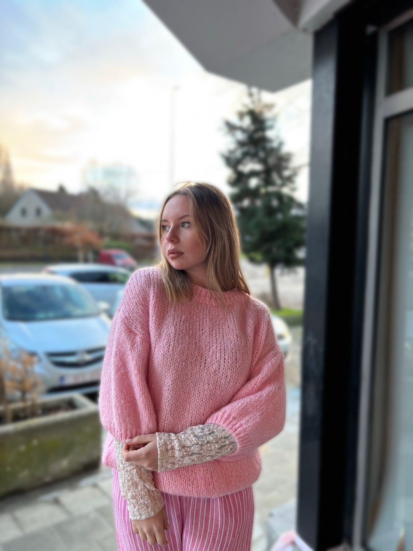Pull Moly rose