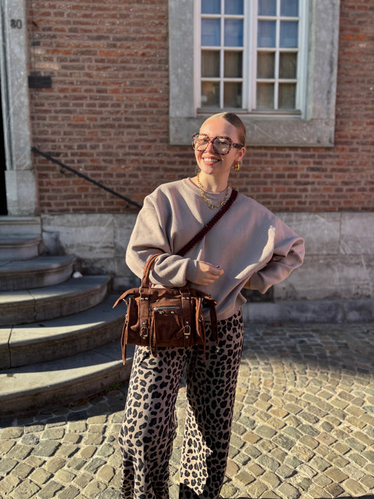 Petit sac Ciaga Suédine Camel